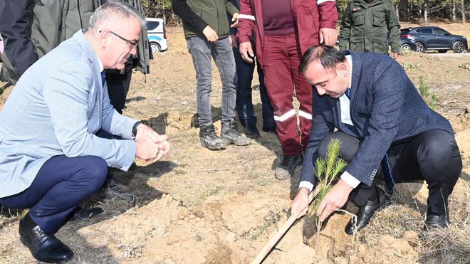 Milli ağaçlandırma gününde fidanlar toprakla buluştu